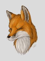 FoxDertSix